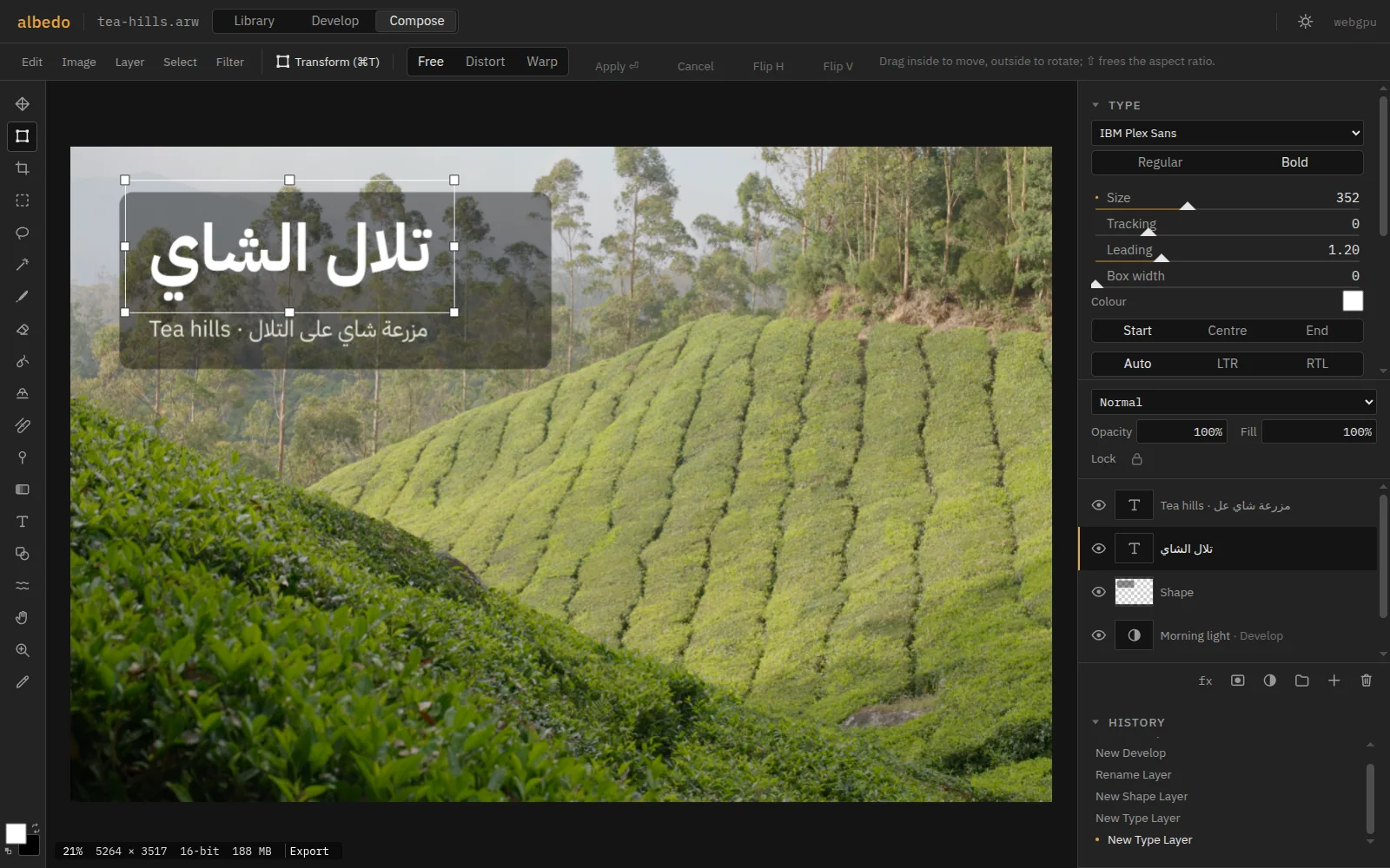 Compose: a tea plantation with an Arabic title, تلال الشاي, set in IBM Plex Sans Arabic over a rounded panel, and a subtitle mixing English and Arabic; the Type panel shows font, size, tracking, alignment and direction.