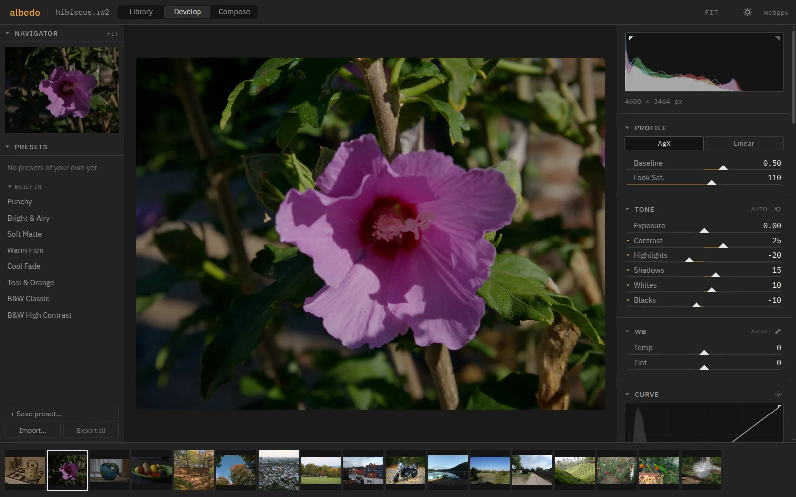Develop: a hibiscus with the Punchy preset applied. Navigator and presets on the left, histogram, profile and Tone sliders on the right, the filmstrip below.